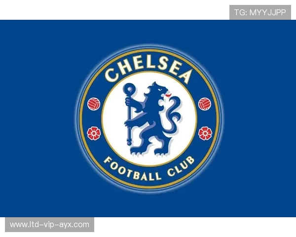 切尔西与意甲俱乐部达口头协议,新援即将官宣 切尔西与意甲俱乐部达口头协议,新援即将官宣