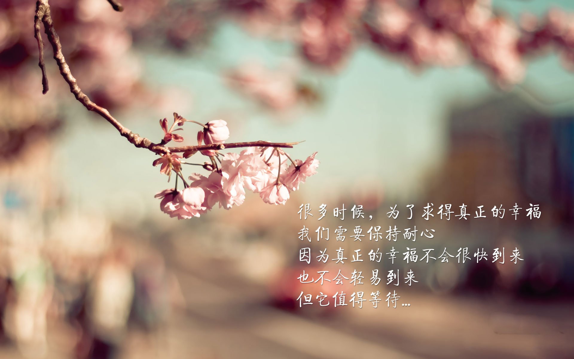 新闻中心开展知识产权保护,知识产权活动新闻稿